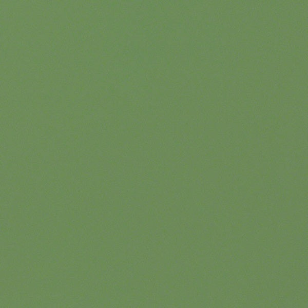CF Stinson Clean Slate Willow Green Upholstery Vinyl