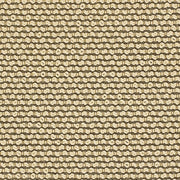 Remnant of Momentum Collect Honest Upholstery Fabric