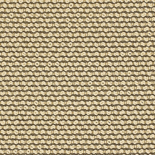 Remnant of Momentum Collect Honest Upholstery Fabric