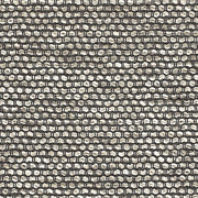 Remnant of Momentum Collect Kin Upholstery Fabric