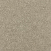 Remnant of Momentum Dexter EPU Pumice Upholstery Vinyl