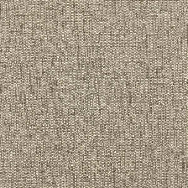 Remnant of Momentum Dexter EPU Pumice Upholstery Vinyl