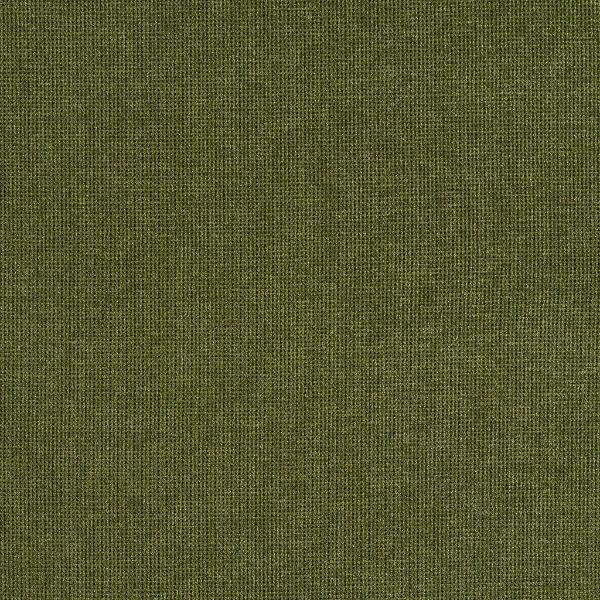 Luum Doyenne Terre Verte Upholstery Fabric