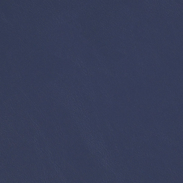 Momentum Evo CV Bluestar Upholstery Vinyl