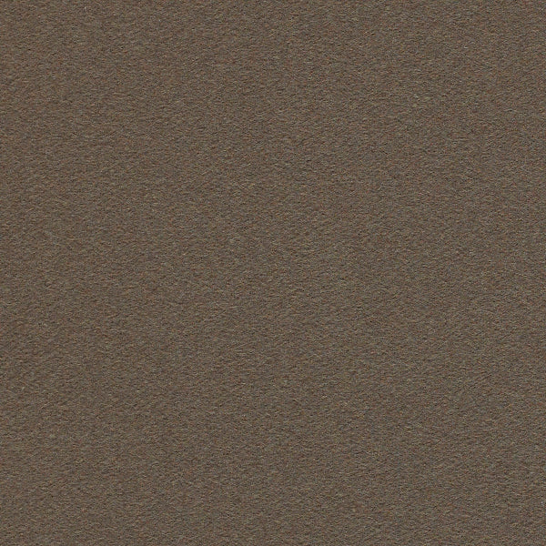Momentum Felt Zinc Gray Wool Upholstery Fabric 