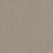 Remnant of Momentum Feltro Birch Upholstery Fabric