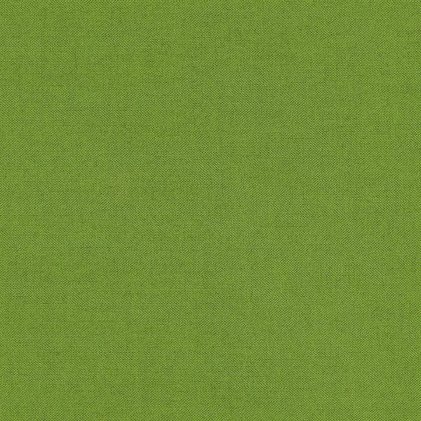Remnant of Arc-Com Fiji Spring Sunbrella Upholstery Fabric