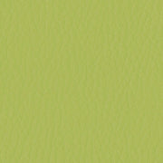 Designtex Friendly Faux Parrot Green Upholstery Vinyl