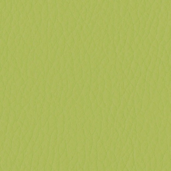 Designtex Friendly Faux Parrot Green Upholstery Vinyl