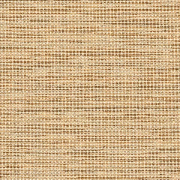 CF Stinson Gravity Almond Brown Upholstery Fabric