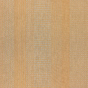 Remnant of Momentum Guideline Tangelo Upholstery Fabric