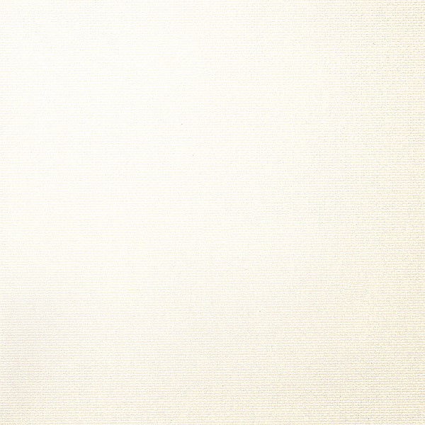 D.L. Couch Hawking Light Year White Upholstery Vinyl