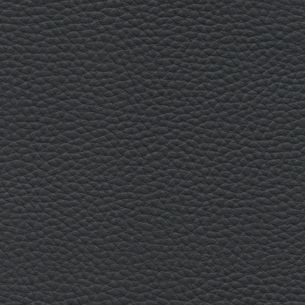 Remnant of Momentum Hyde Onyx Upholstery Vinyl