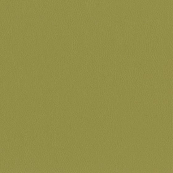 Designtex Isotope Avocado Green Upholstery Vinyl