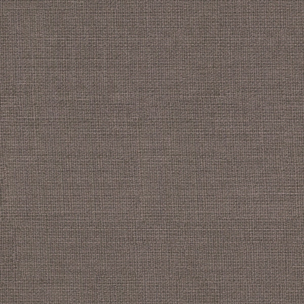 Remnant of Momentum Linen Driftwood Upholstery Vinyl