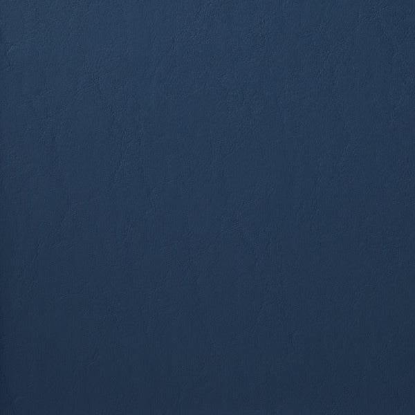 Remnant of Momentum Lorraine Uph Midnight Upholstery Vinyl