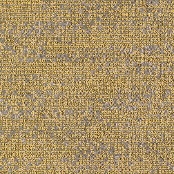 Remnant of Luum Photogram Sunprint Upholstery Fabric
