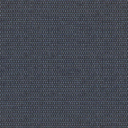Remnant of Momentum Pip Dusk Upholstery Fabric