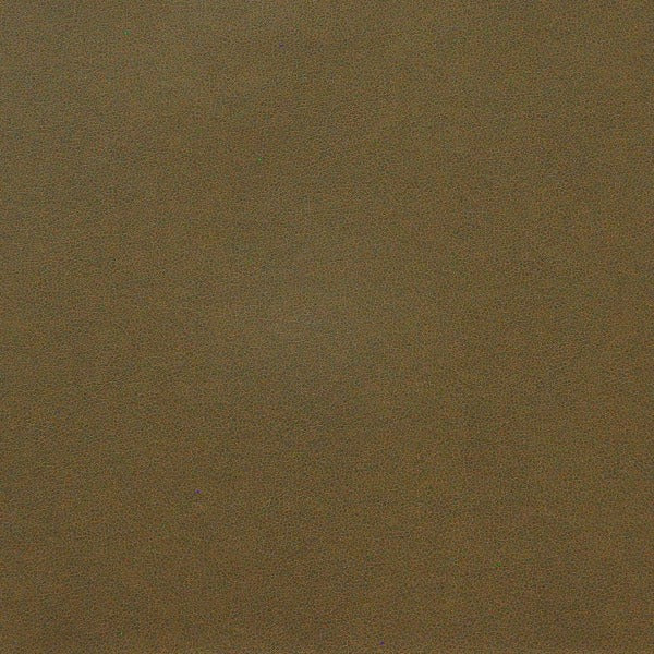 Remnant of Maxwell Pony Express Timber Upholstery Vinyl