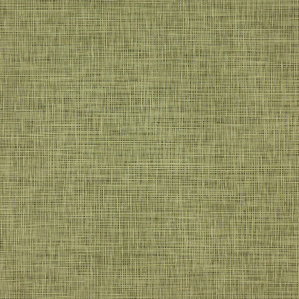 Remnant of Momentum Printwork EPU Spring Upholstery Vinyl