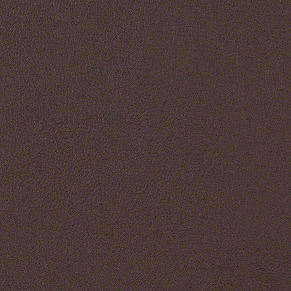 Remnant of CF Stinson Rainier Peat Upholstery Vinyl