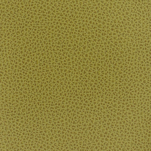 Remnant of Momentum Rein II Palm Upholstery Vinyl