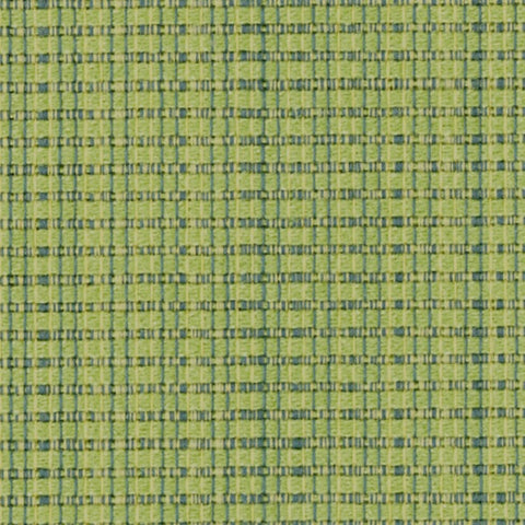 Designtex Rivergrass Parrot Green Upholstery Fabric