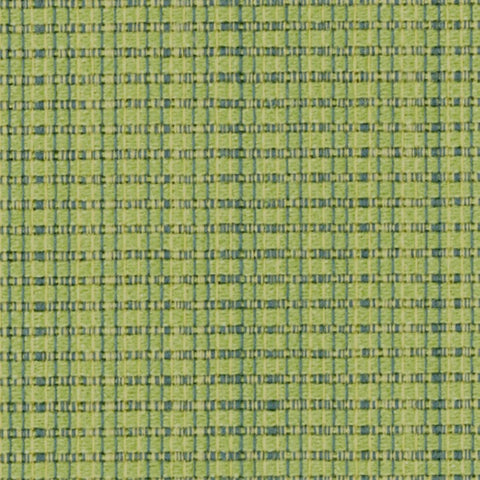 Designtex Rivergrass Parrot Green Upholstery Fabric