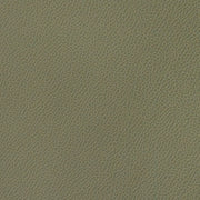 Momentum Silica Eucalyptus Upholstery Vinyl