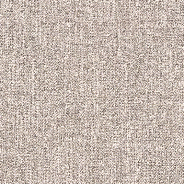 Remnant of Momentum Smart Soft Bisque