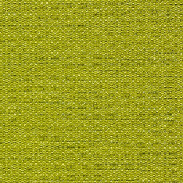 Momentum Sport Apple Green Upholstery Fabric
