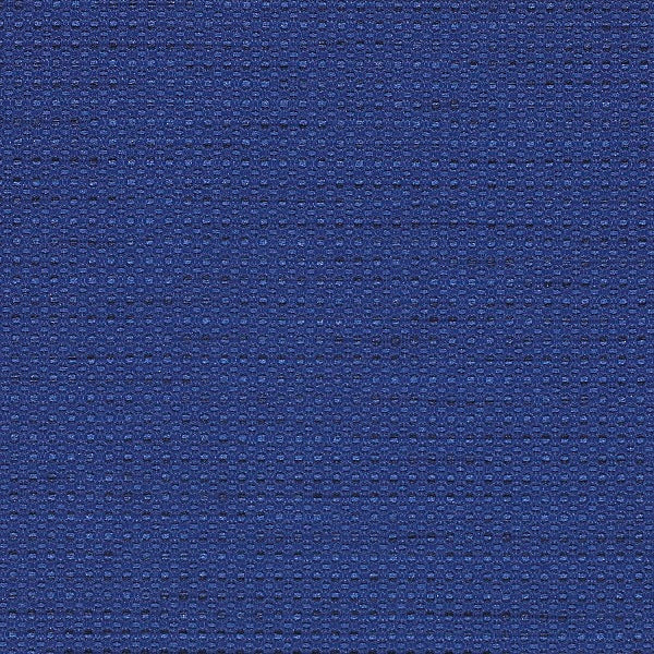 Momentum Sport Cobalt Blue Upholstery Fabric