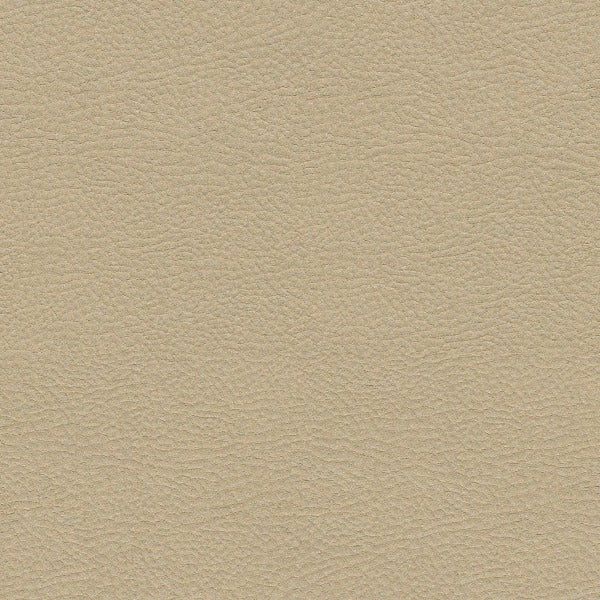 Fabric Remnant of Momentum Textiles Tanner Trail Upholstery Vinyl