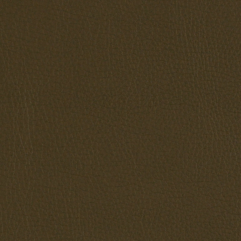 Remnant of Momentum Canter Willow Green Upholstery Vinyl