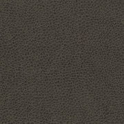 Remnant of Writers Block Tolstoy Flintstone Upholstery Fabric
