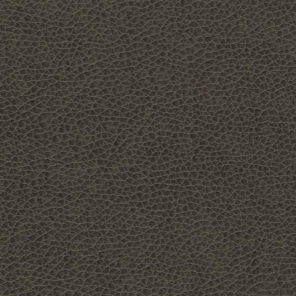 Remnant of Writers Block Tolstoy Flintstone Upholstery Fabric