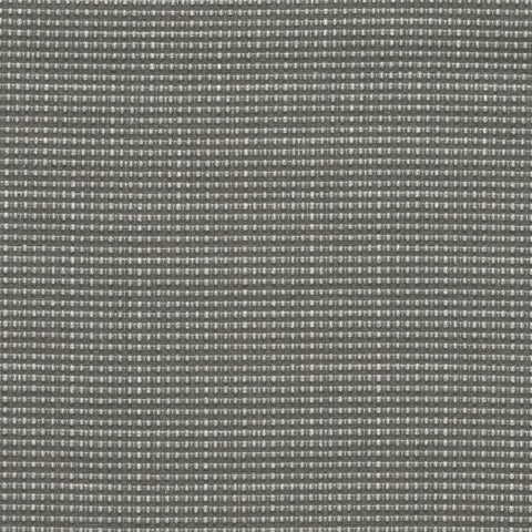 Designtex Appleseed Zinc Gray Upholstery Fabric