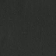 Designtex Pivot Volcanic Ash Black Upholstery Vinyl