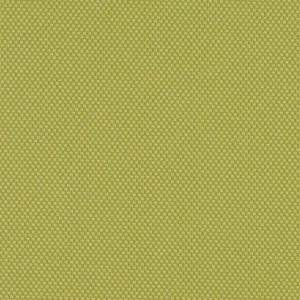Designtex Aspect Palm Upholstery Fabric