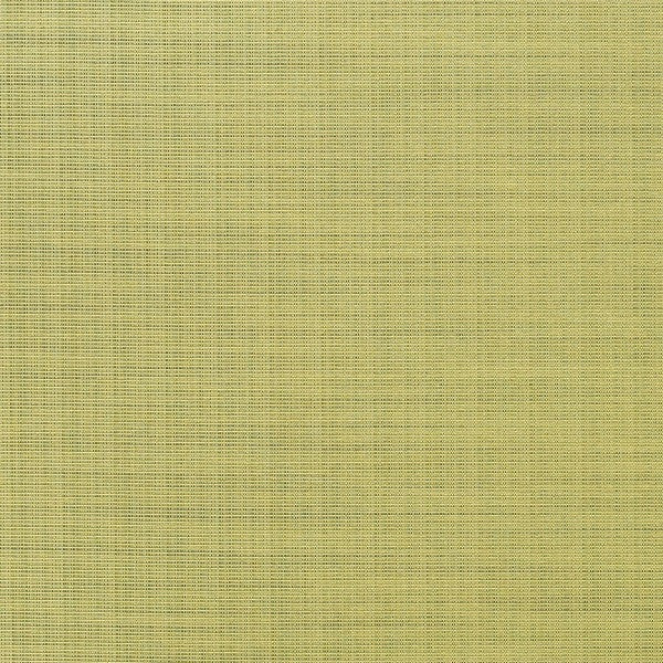 Fabric Remnant of Waxen Fresh Green Upholstery Fabric