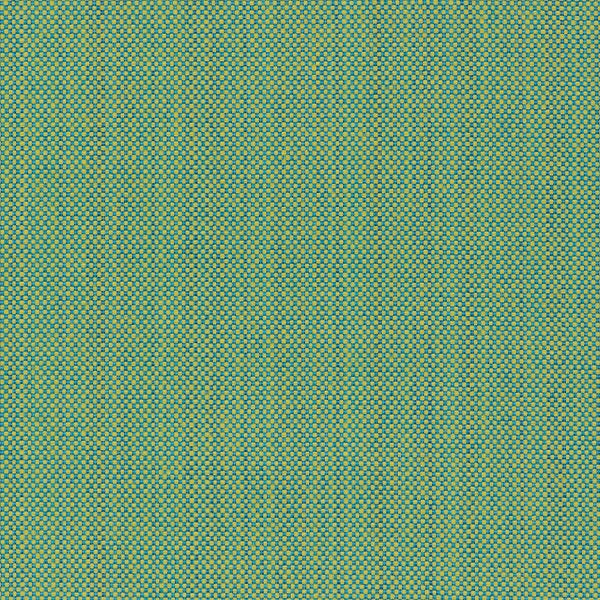Maharam Prime Mandala Upholstery Fabric