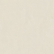 Remnant of Carnegie Hepburn Color 20 Upholstery Vinyl