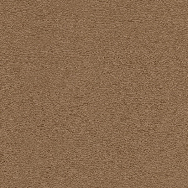 fabric remnant of Rodeo Ginger