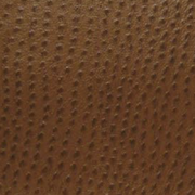 Anzea Phoenix Outback Ostrich Skin Upholstery Vinyl