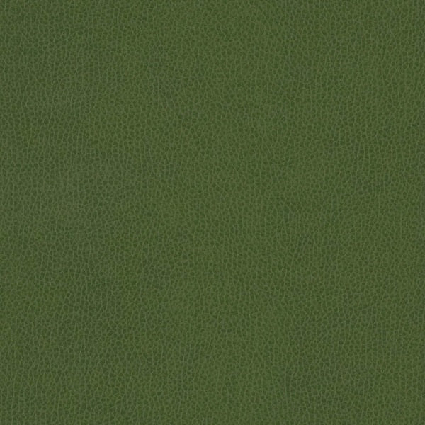 Remnant of Arc-Com Omega Grass Upholstery Vinyl