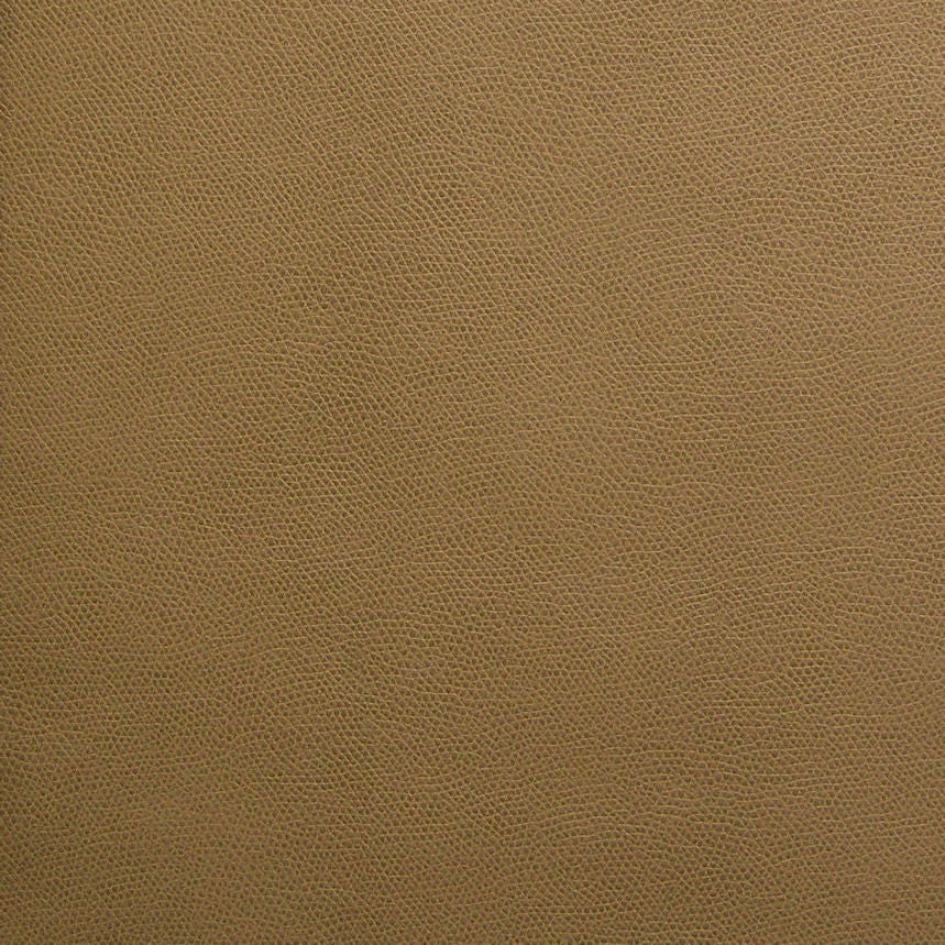 Designtex Upholstery Fabric Remnant Argiano Moss