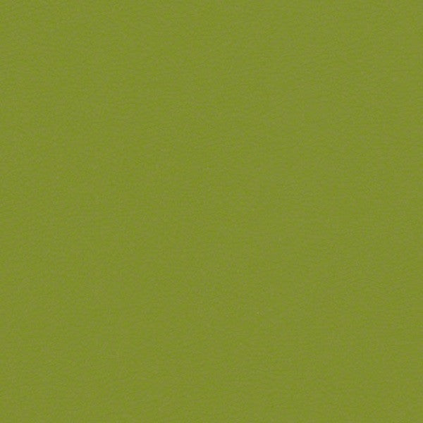 CF Stinson Upholstery Fabric Remnant Arioso Melone