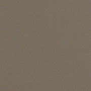 CF Stinson Fabric Remnant of Avant Gunmetal