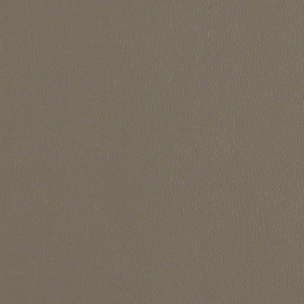 CF Stinson Fabric Remnant of Avant Gunmetal