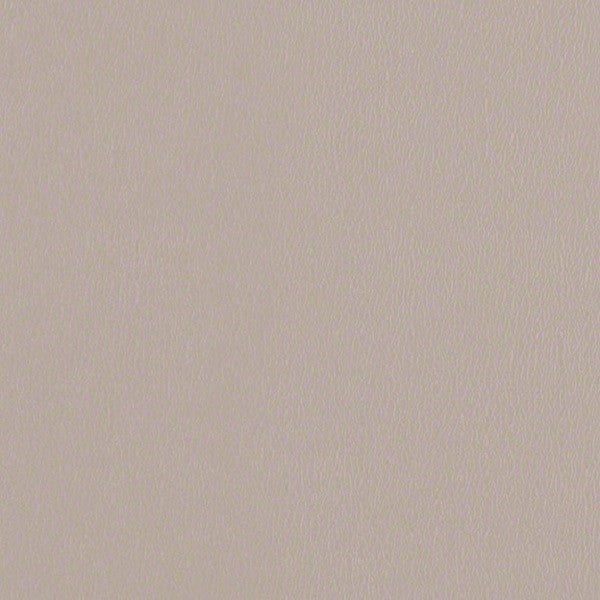 CF Stinson Fabric Remnant of Avant Putty Upholstery Vinyl 